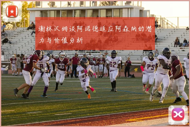 谢林汉姆谈阿诺德适应阿森纳的潜力与价值分析