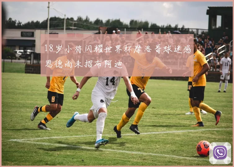 18岁小将闪耀世界杯摩洛哥球迷感恩德尚未招布阿迪