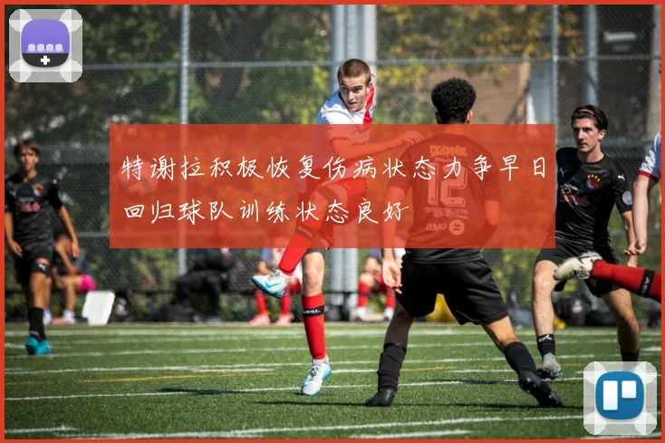 特谢拉积极恢复伤病状态力争早日回归球队训练状态良好